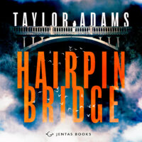 Hairpin Bridge cover image